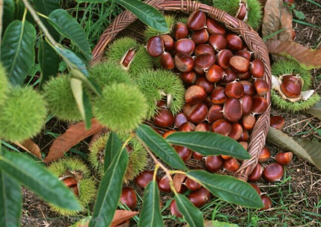 5bb0338e159c9.jpg QQ圖片20180930102140.jpg